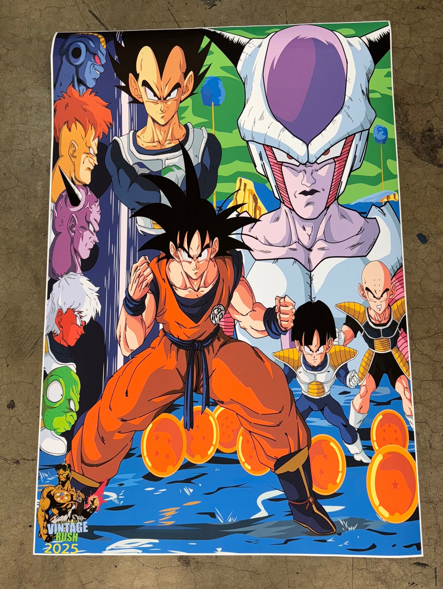 Namek Saga Poster! 24 x 36