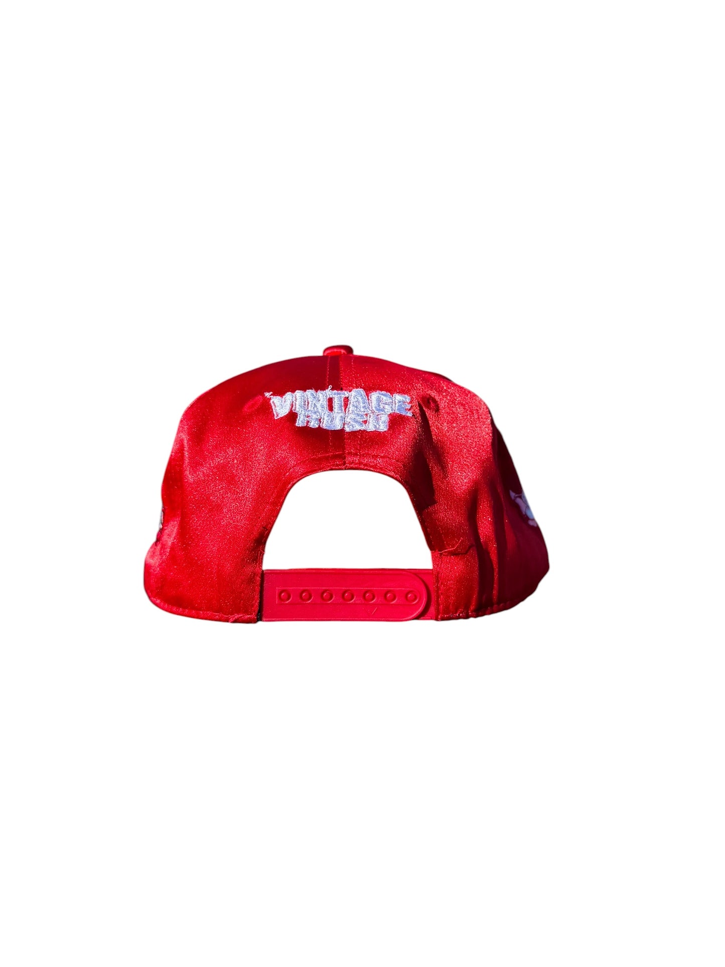 Dragon Ball Z God Vegeta - Satin Red Hat