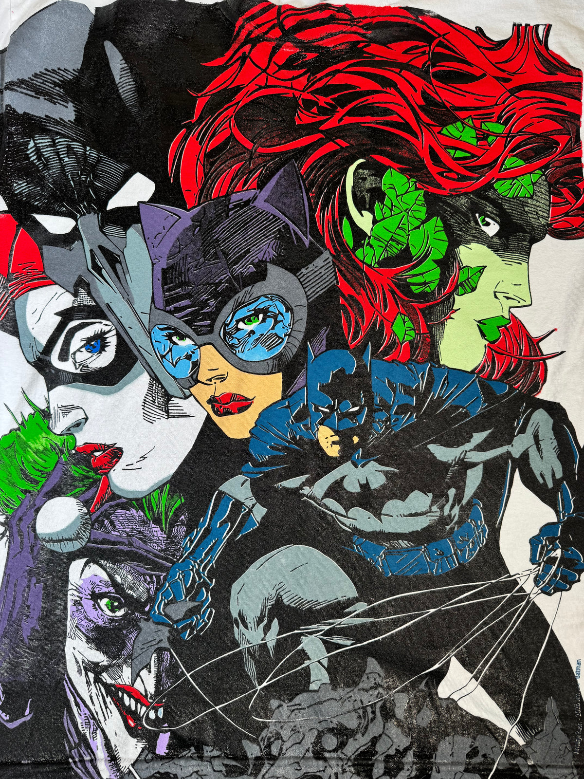 White - Batman & Catwoman Front - Villains Back