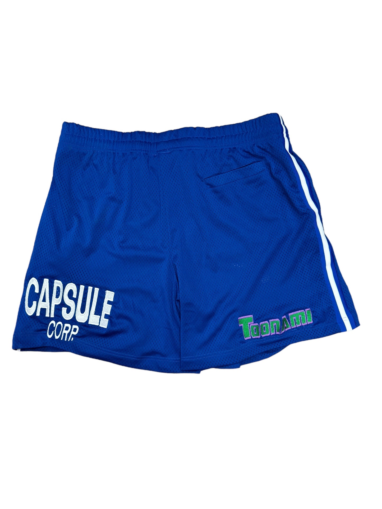 Blue Mesh-Trunks Shorts